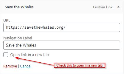 Can I Open a WordPress Menu Link in a New Tab - Image 7